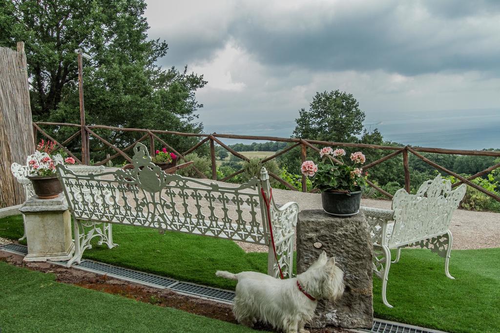 Agriturismo Specchio Del Lago Montefiascone Extérieur photo