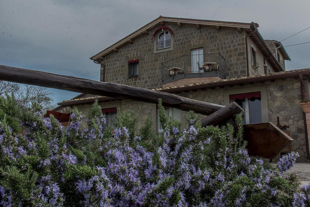 Agriturismo Specchio Del Lago Montefiascone Extérieur photo